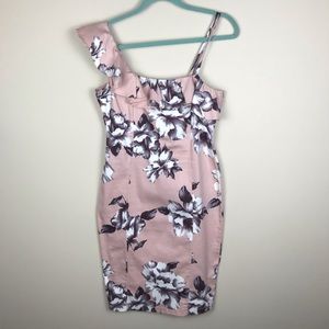 Lavish Couture Blush Floral Dress